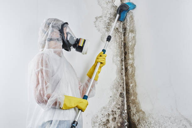 Best Residential Mold Removal  in Centre Grove, NJ