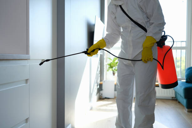 Best Toxic Mold Removal  in Centre Grove, NJ