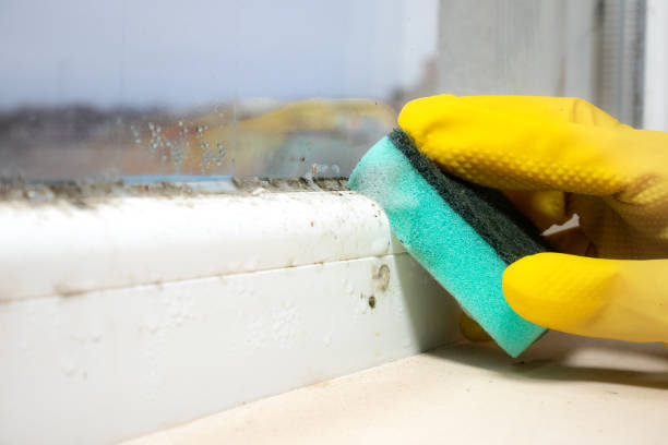 Best Emergency Mold Removal  in Centre Grove, NJ